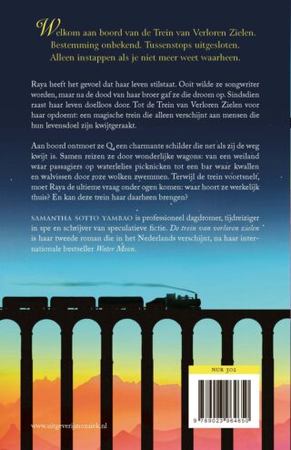 De trein van verloren zielen - achterkant