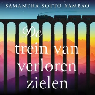 De trein van verloren zielen - cover