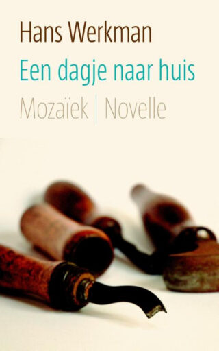 Een dagje naar huis - cover