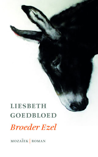 Broeder ezel - cover